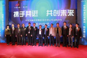 永凱集團股權(quán)托管項目