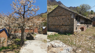 中景恒基集團(tuán)受邀前往北京市平谷區(qū)核桃洼村就鄉(xiāng)村振興合作項(xiàng)目進(jìn)行實(shí)地考察