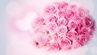 中景恒基祝全體女同事節(jié)日快樂