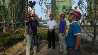 中景恒基集團(tuán)董事長肖厚忠赴鳳祥銘居公司檢查指導(dǎo)工作