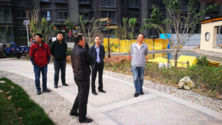 集團(tuán)總裁張睿調(diào)研鳳祥銘居項(xiàng)目建設(shè)情況