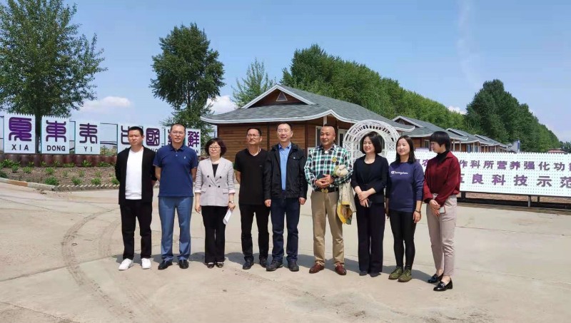 1623987537508914.jpg 1623987537508914.jpg